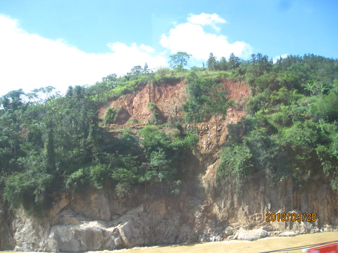 ���� 461.jpg