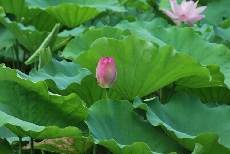 2011��6��11 103.jpg