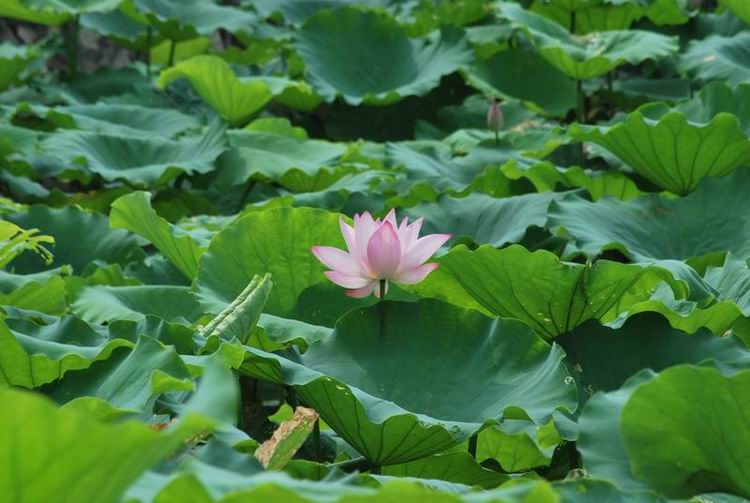 2011��6��11 100.jpg