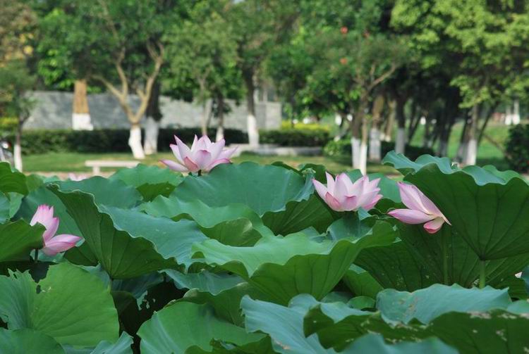 2011��6��11 140.jpg