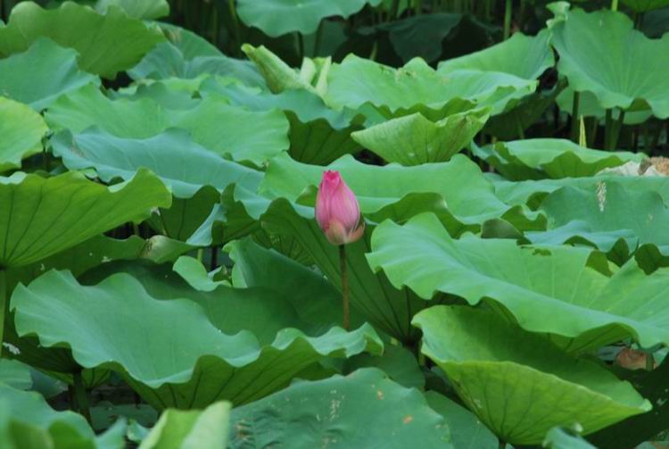 2011��6��11 108.jpg