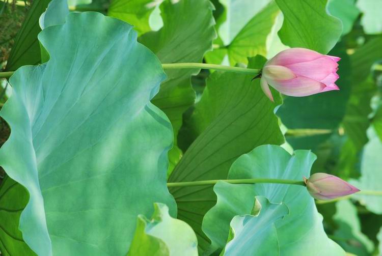 2011��6��11 118.jpg