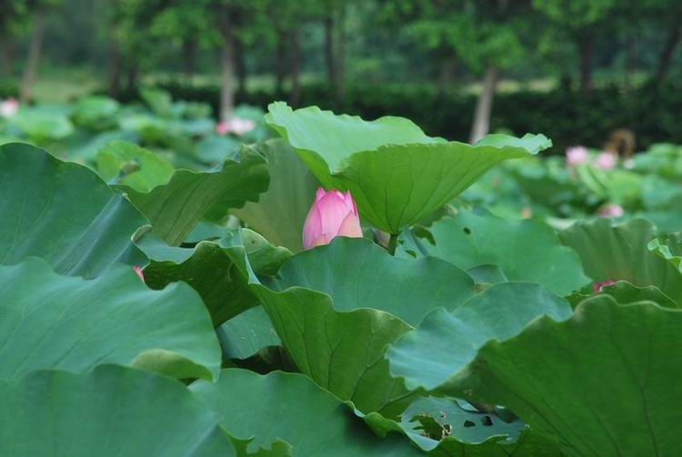 2011��6��11 137.jpg