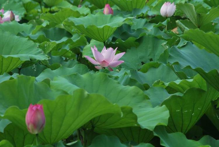 2011��6��11 104.jpg