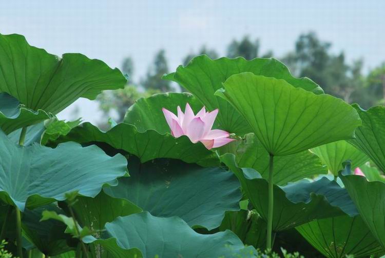 2011��6��11 144.jpg