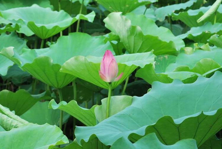 2011��6��11 110.jpg