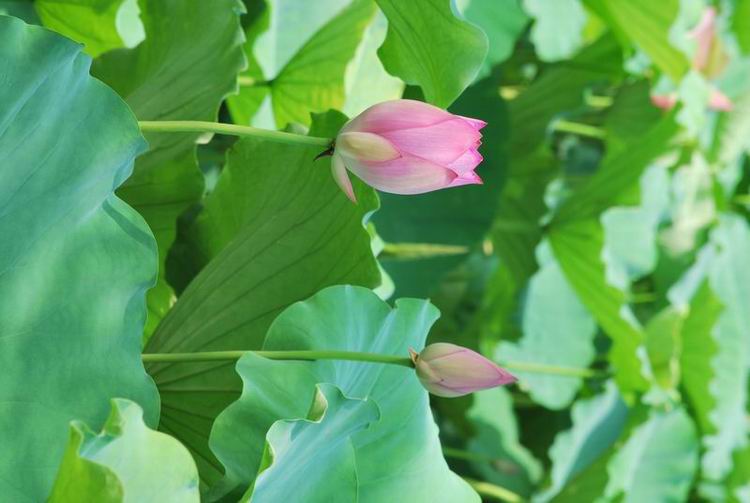 2011��6��11 119.jpg