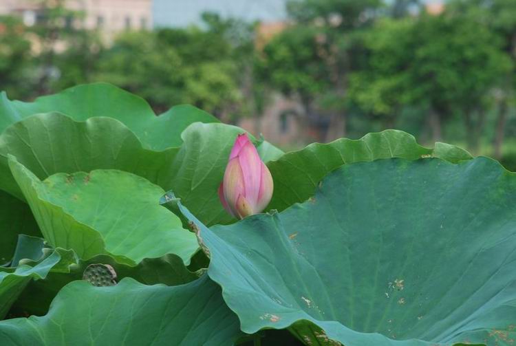 2011��6��11 138.jpg