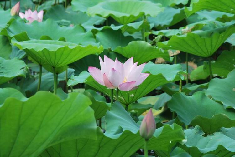 2011��6��11 113.jpg