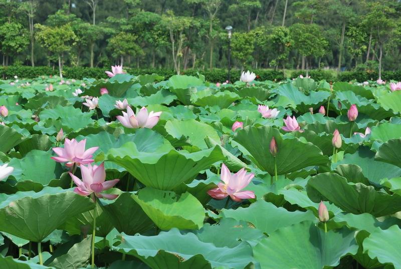 2011��6��11 123.jpg