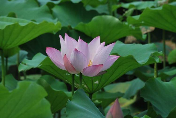 2011��6��11 112.jpg