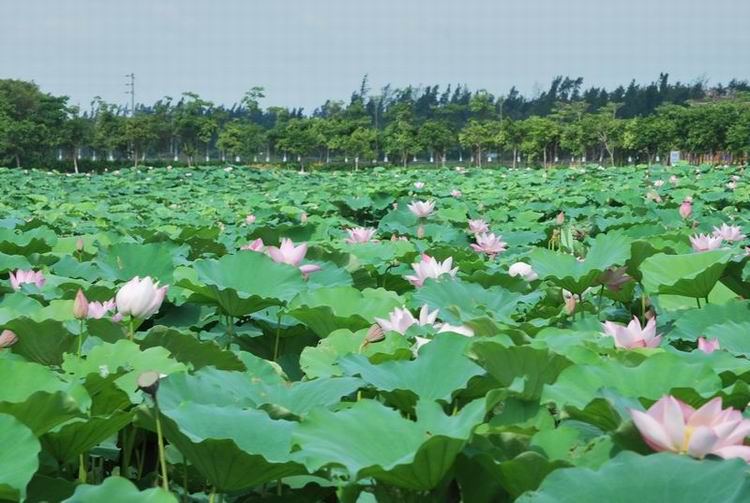 2011��6��11 124.jpg