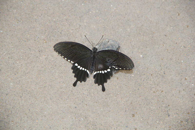 ���� IMG_0348.JPG