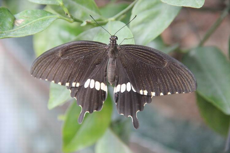 ���� IMG_0353.JPG