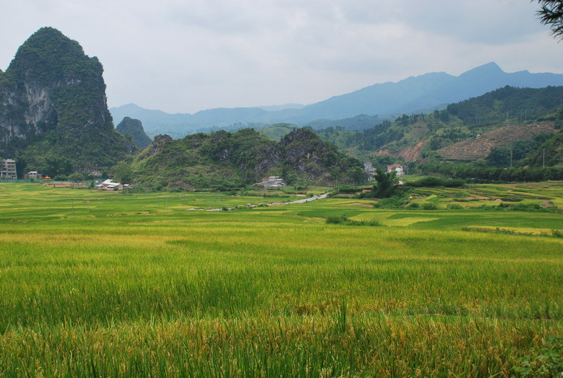 8�¹����С����� 020.jpg