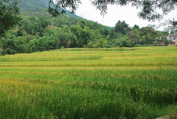 8�¹����С����� 018.jpg