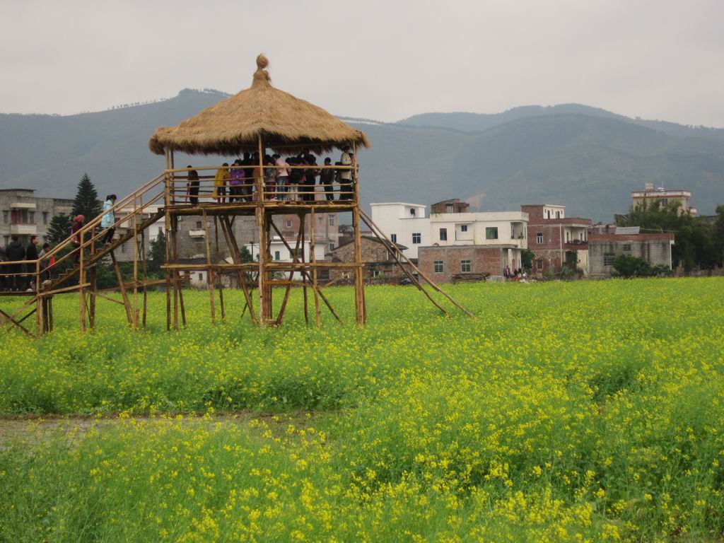 ������С IMG_0390.JPG