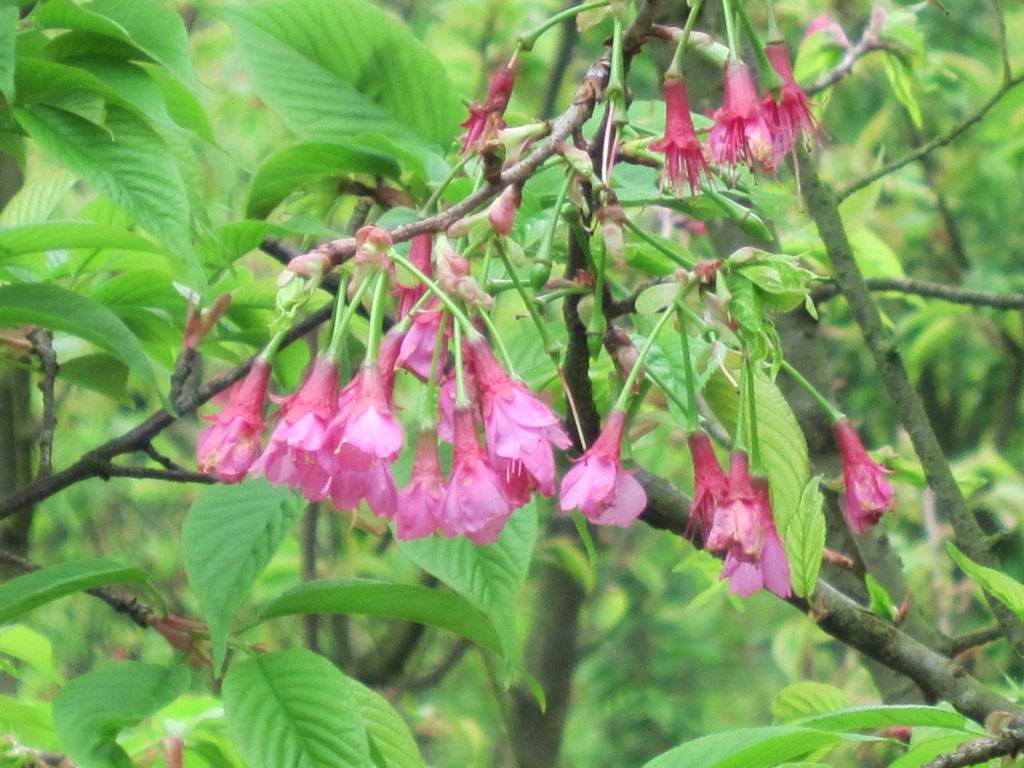 ������С IMG_0400.JPG