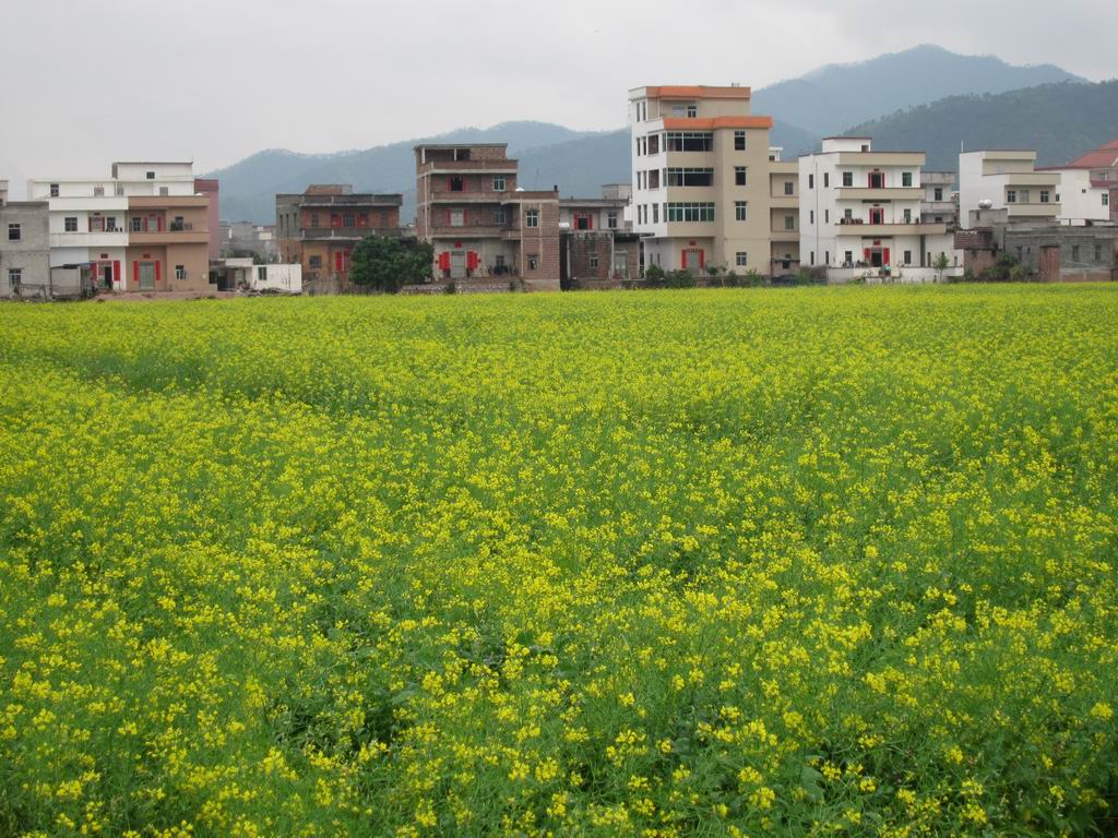 ������С IMG_0383.JPG