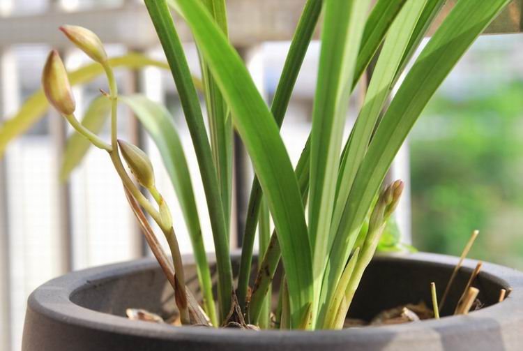 �������� 08.jpg