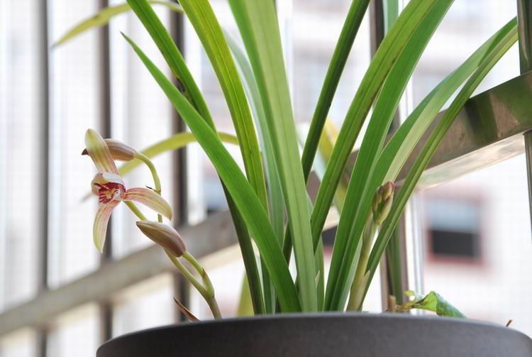 �������� 09.jpg