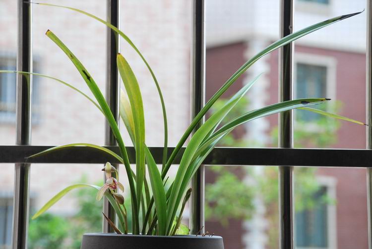 �������� 13.jpg