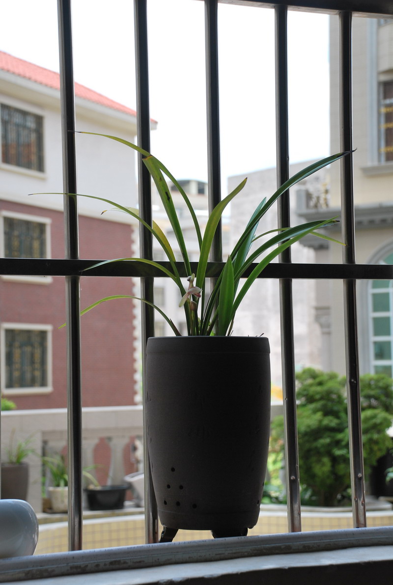 �������� 02.jpg