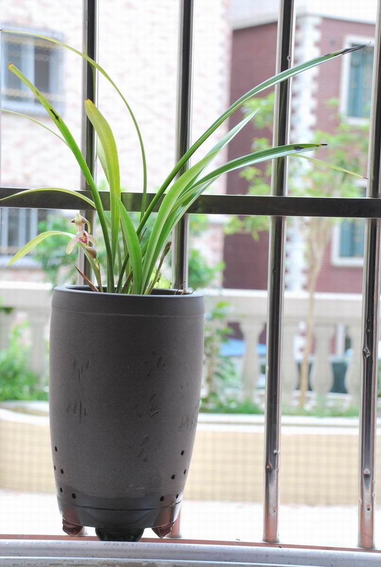 �������� 12.jpg