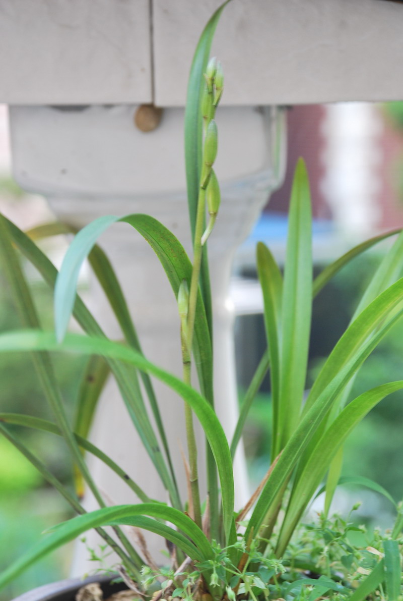 �������� 18.jpg