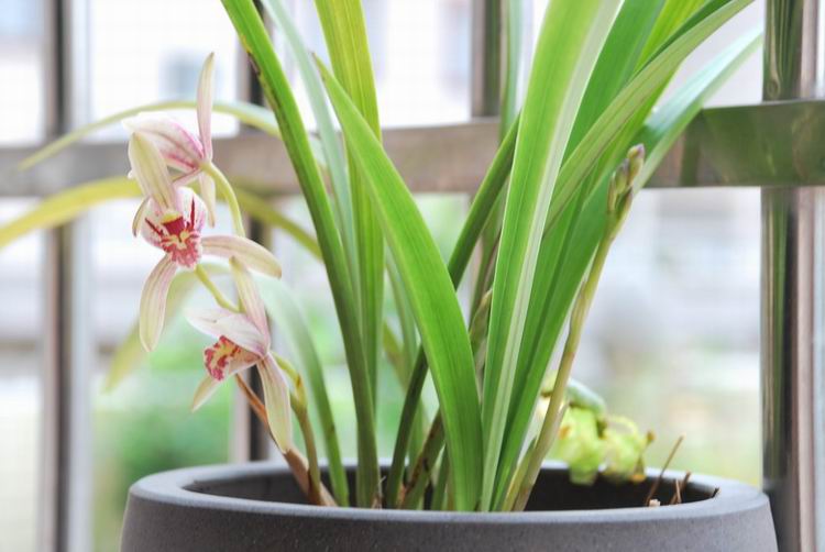 ��̨������(2012-15-7) 023.jpg