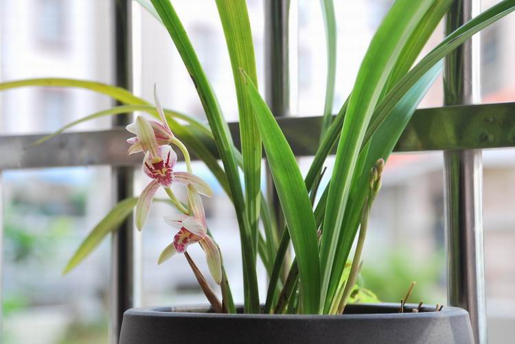 ��̨������(2012-15-7) 016.jpg