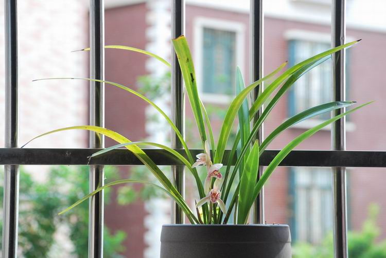 ��̨������(2012-15-7) 015.jpg