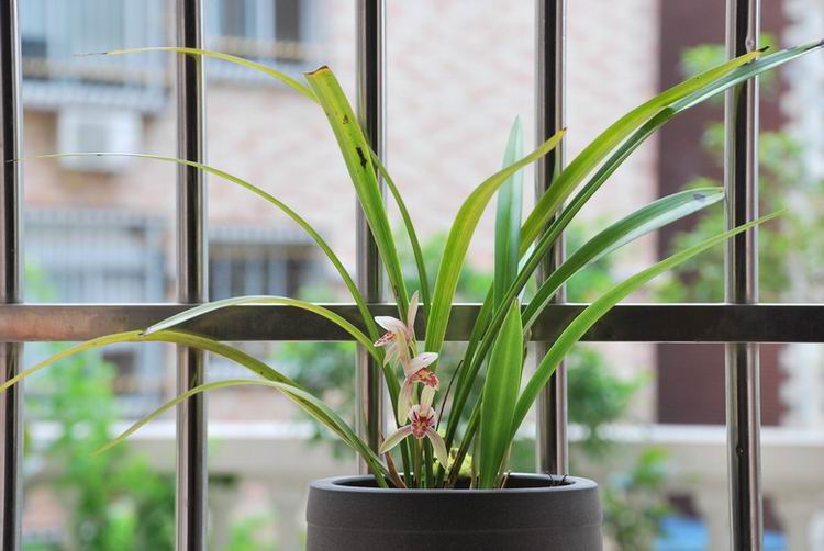 ��̨������(2012-15-7) 022.jpg