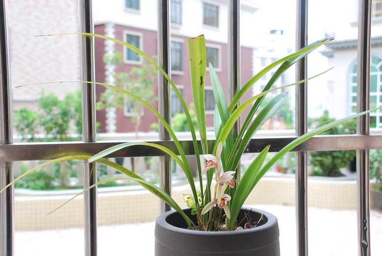 ��̨������(2012-15-7) 028.jpg