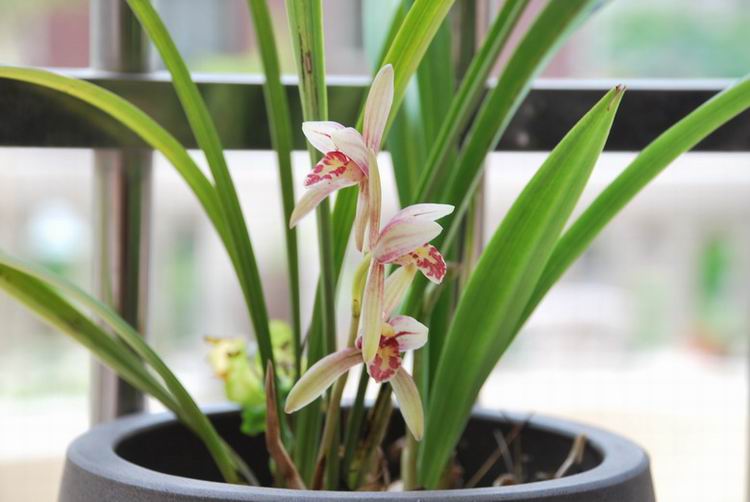 ��̨������(2012-15-7) 027.jpg