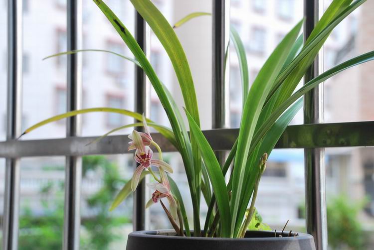 ��̨������(2012-15-7) 017.jpg