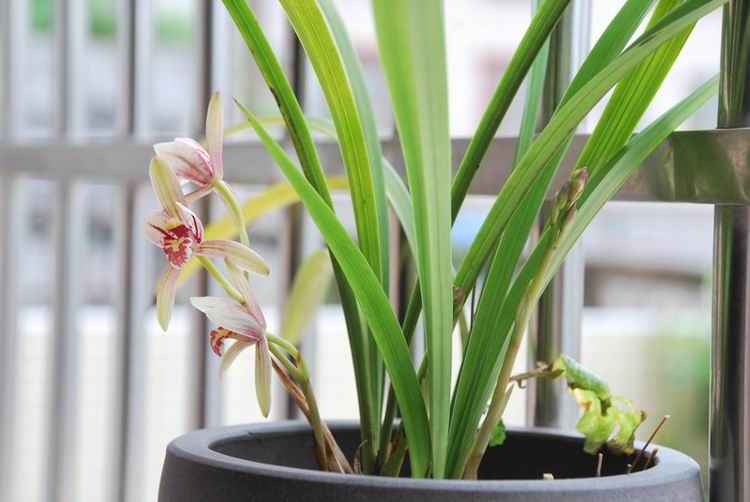 ��̨������(2012-15-7) 024.jpg