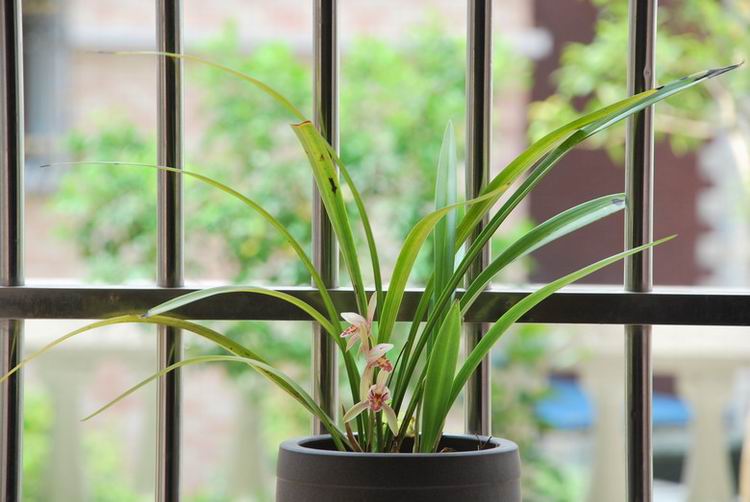 ��̨������(2012-15-7) 021.jpg