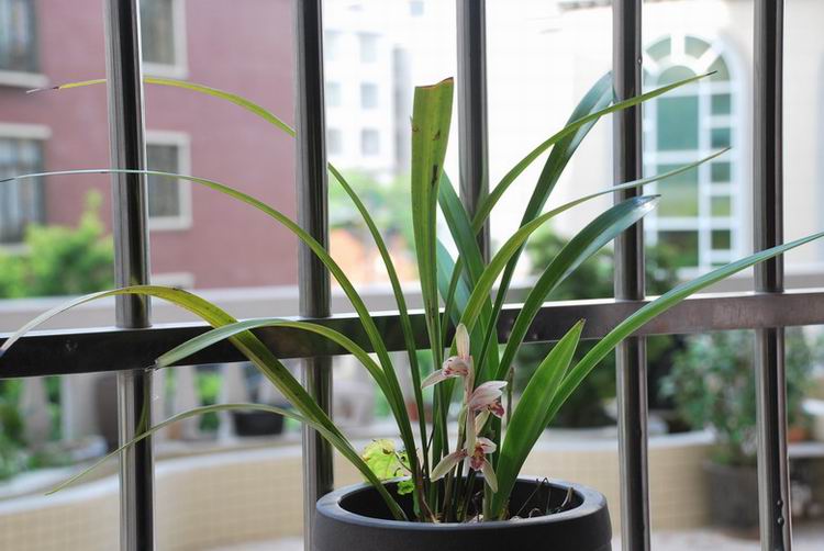 ��̨������(2012-15-7) 019.jpg