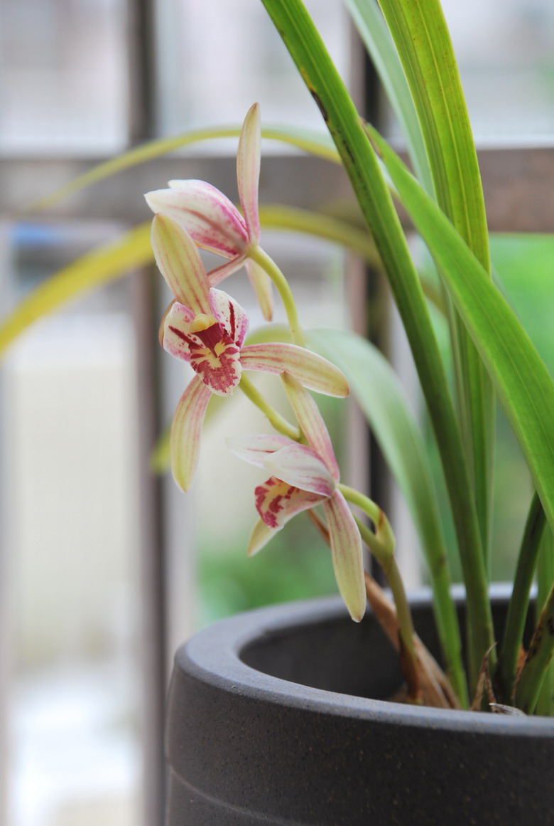 ��̨������(2012-15-7) 025.jpg