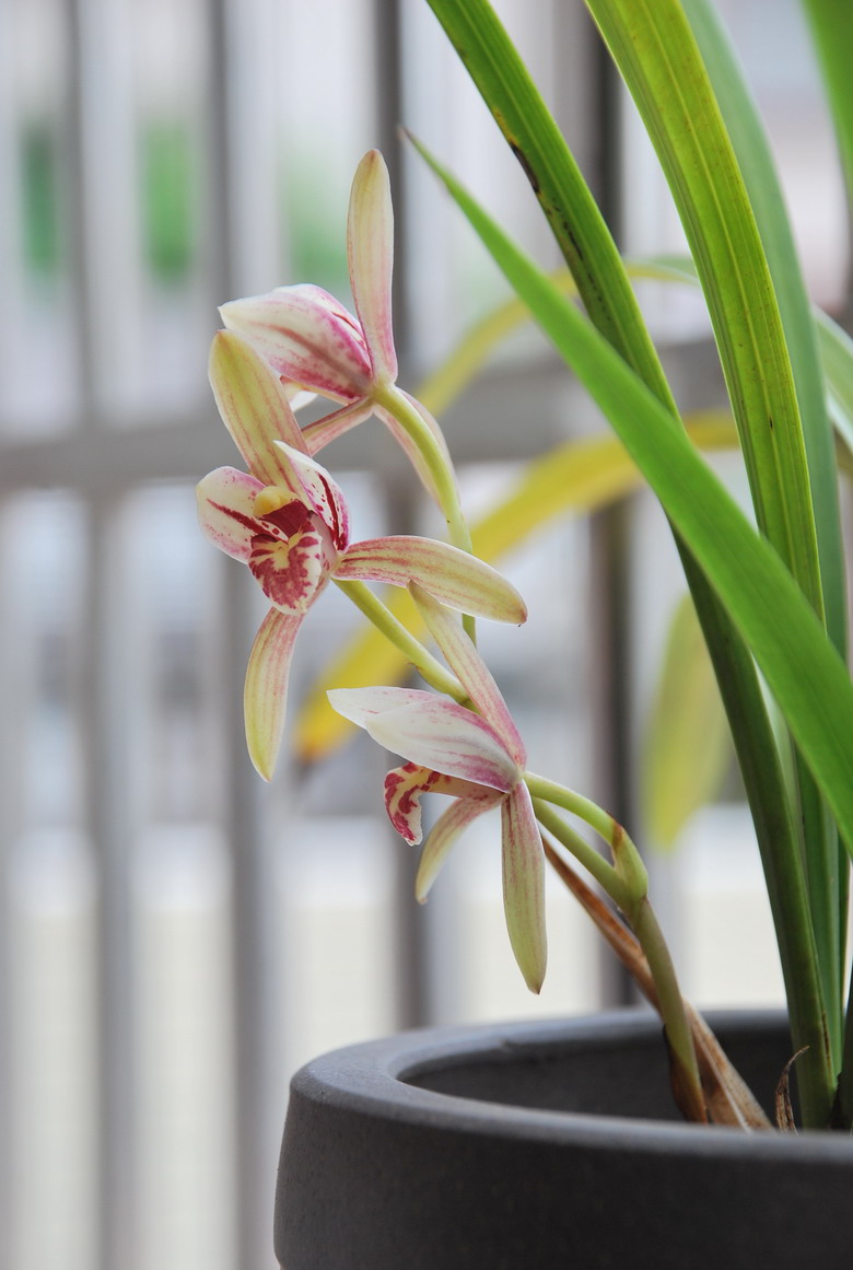 ��̨������(2012-15-7) 026.jpg