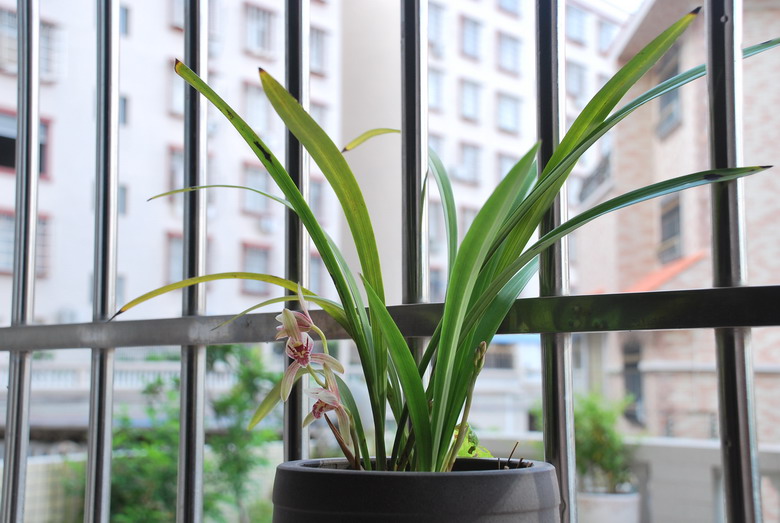 ��̨������(2012-15-7) 018.jpg