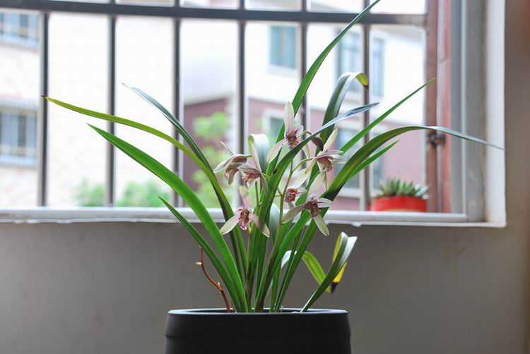 7��26�ա����� 006.jpg