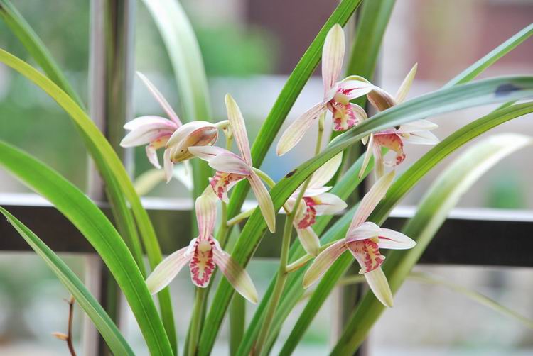 7��26�ա����� 012.jpg