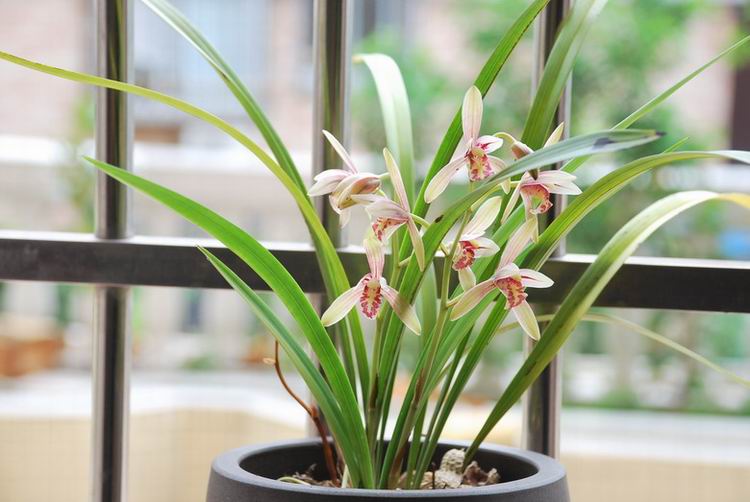 7��26�ա����� 014.jpg