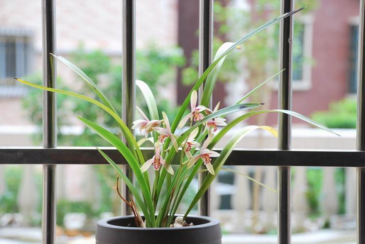 7��26�ա����� 010.jpg