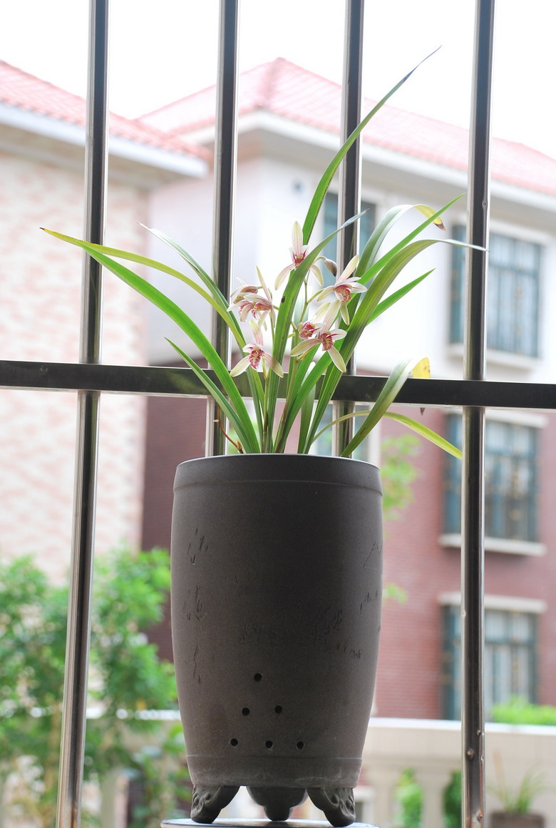 7��26�ա����� 007.jpg