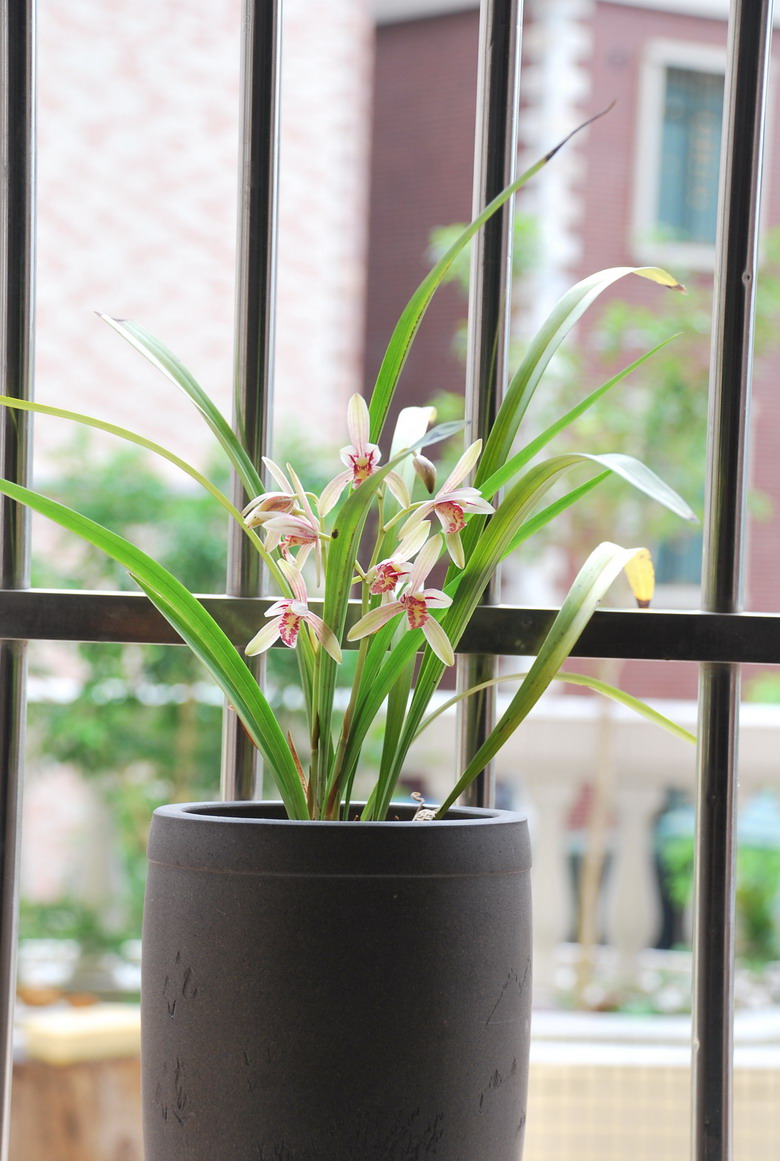 7��26�ա����� 009.jpg