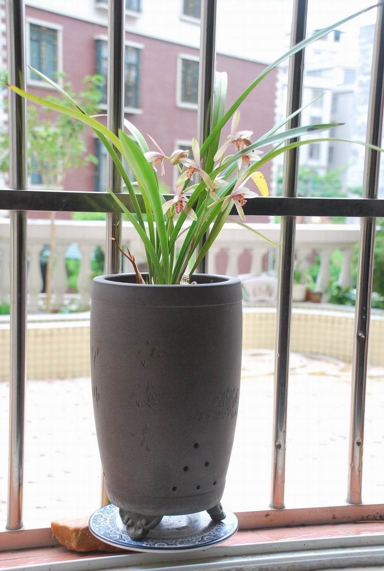 7��26�ա����� 013.jpg