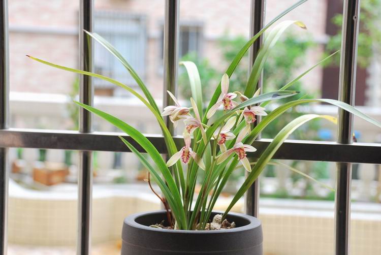 7��26�ա����� 015.jpg